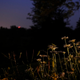 Image for article titled Shooting Challenge Gallery: Fireworks (Part 2)